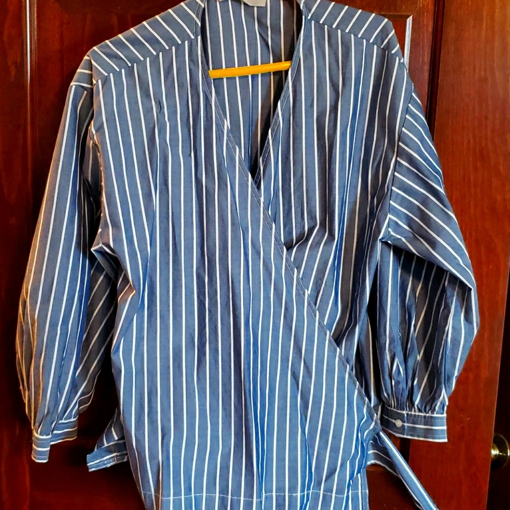 Everlane Blue Striped Blouse